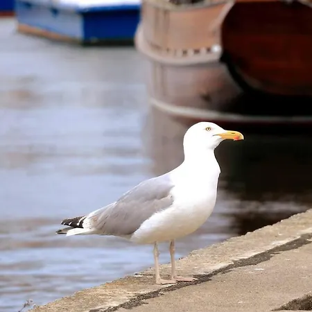 Apartament Cblue: Kuestenzauber Barrierefrei Mit Balkon Heiligenhafen